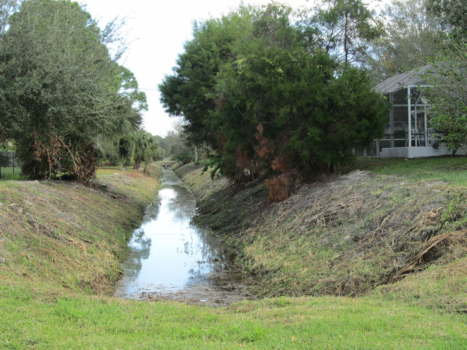 Ditch Filled with Water