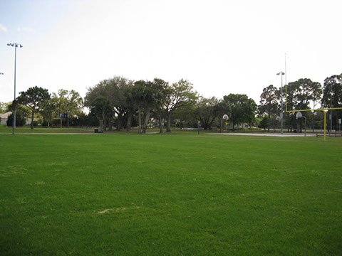 Barber Street Sports Complex 7