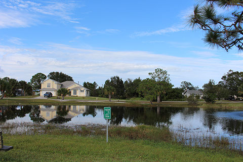 Blossom Street Park 4