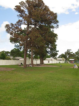 Sebastian Bark Park 6