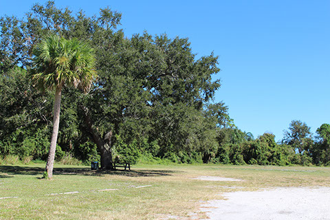 Filbert Street Park 3