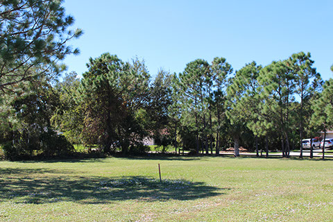 Filbert Street Park 15