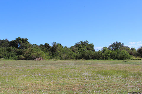 Filbert Street Park 13