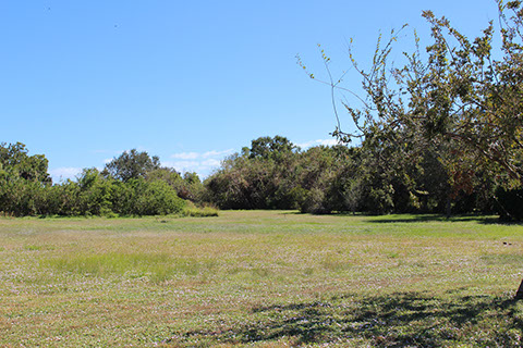 Filbert Street Park 12