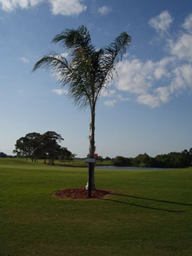 Golf Course 5